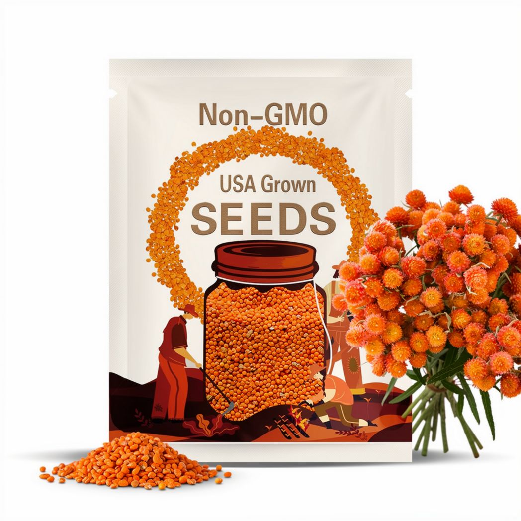 Orange Gomphrena Seed