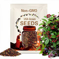 MAMP Berry Cream Bubblegum pepper seeds