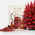 1,000+ Red Creeping Thyme Seeds | Groundcover Perennial | Non-GMO Fresh Seeds | Lawn Alternative | Pollinator Friendly