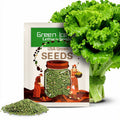 Green Ice Leaf Lettuce Seeds | NON-GMO | Heirloom | Fresh Garden Seeds