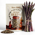 75+ Sweet Purple Asparagus Seeds | USA Seller | Non-GMO