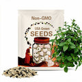 100 Seeds withe Berry Pineapple Strawberry Seeds Fruitseeds Strawberry #4185