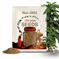 Acacia senegal seeds, Gum Acacia, Gum Arabic Tree, Sudan gum, Sudan gum arabic, kher, khor, kumatiya (14 seeds),  seeds for planting