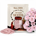 Light Pink Plumeria Rubra 5 Flower Seeds