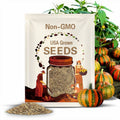 10 Prism Pumpkin Seeds. Ships free
