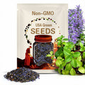 Blueberry Basil Seeds (Ocimum americanum)