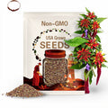 AMARANTH PERFECTA Seeds *Free Shipping!* Fresh & Organic Amaranthus tricolor Seeds, Red Outdoor Flowers Bulk | Josephs Coat Edible Plant