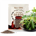 Picolino F1 Hybrid Cucumber Seeds