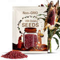 Red Corn Seeds - Organic, Heirloom, Open Pollinated, Non GMO - Grow Indoors, Outdoors, In Pots, Grow Beds, Hydroponics & Aquaponics