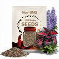 Mixed Hosta Seeds: Shade-Loving Perennial Garden Plants