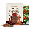 Pepper Drops Seeds 25 Heirloom Red Biquinho tear drop shaped red peppers