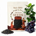 Black Mission Fig Seeds/Ficus carica SEEDS/10 Seeds/Fig Seeds/Maui Seeds/Home Garden/Edible Landscaping