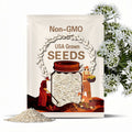 White Creeping Thyme Seeds – 2000+ Heirloom Ground Cover, Perennial Flower