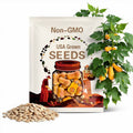 Honeynut Butternut Squash Seeds: Mini, Sweet Flavor - Heirloom Non-GMO