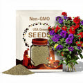 Moss Verbena Flower Seeds - Heirloom Seeds, Wildflower Seeds, Flower Seeds, Pollinator Garden, Open Pollinated, Non-GMO