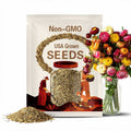 Strawflower Monstrosum Tall Mix  x 25 Seeds