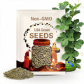 50 Carolina Cross Watermelon Seeds, Grow Juicy Summer Melons