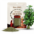 Italian Oregano Seeds, Herb, Heirloom Seeds, Non-GMO
