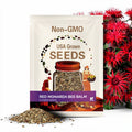 100 PCS - Red Bee Balm Seeds for planting (Monarda Didyma) –  Wild Bergamot Seeds – Perennial Flower Seeds, Vibrant Pollinator Magnet