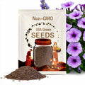 Petunia Orchid Veined Seeds