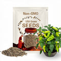 Sweet Banana Pepper Heirloom Seeds