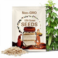 10 Luffa Gourd Seeds. Ships free.