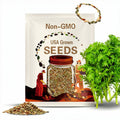 1 Gr (250 Seeds) Green Wasabi Mustard Greens Seeds for Planting, Brassica Juncea Seeds