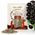 25+ Hybrid Black Marigold Seeds – Garden Flowers, Easy Planting, Ideal for Gardeners