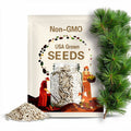 White Pine Tree Seeds - Heirloom, Open Pollinated, Non GMO - Grow Outdoors, In Pots, Grow Beds, Soil, Hydroponics & Aquaponics