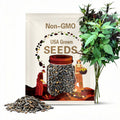 Black Jack (Bidens Pilosa / Hairy Beggar-Ticks) SEEDS