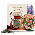 30 Seeds| Toffee Beige Carnations - Dianthus Seeds - Container - Balcony Flowers -Cold & Drought Resistant -Hardy, Colorful Garden#ca12