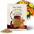 Fiesta Gitana Calendula Seeds – Heirloom Medicinal & Culinary Herb, Edible Orange and Yellow Blooms for Teas and Healing Gardens | 100 Seeds