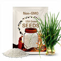 White Grano Onion Seeds - Heirloom Seeds, Sweet Onion, Short Day, Slow Bolt, Storage Onion, Allium Cepa, Open Pollinated, Non-GMO