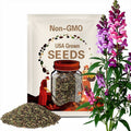 Snapdragon vine seeds (Maurandella antirrhiniflora)