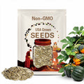 10 Seeds Non-GMO organic Table Queen acorn squash seeds