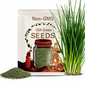Garlic Chives Seeds 100+ Herb Vegetable Garden NON-GMO USA