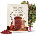 Heirloom Red Russian Kale - One gram - Tasty ! Greens ! Healthy ! Fresh !