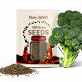 Waltham 29 Broccoli Seeds - Heirloom Seeds, Cold Tolerant, Dwarf Plant, Container Garden, Fall Garden, Brassica Oleracea, Non-GMO