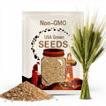 Barley Seeds - Organic, Heirloom, Open Pollinated, Non GMO - Grow Indoors, Outdoors, In Pots, Grow Beds, Soil, Hydroponics & Aquaponics
