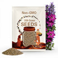 Perfume Deep Purple Nicotiana Seeds, Flowering Tobacco, Nicotiana Alata, Pelleted, NI2620P