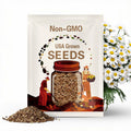 1001- 25 SHASTA DAISY SEEDS