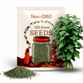 Non-GMO Catnip Seeds: Fresh Herb Perennial for Cats